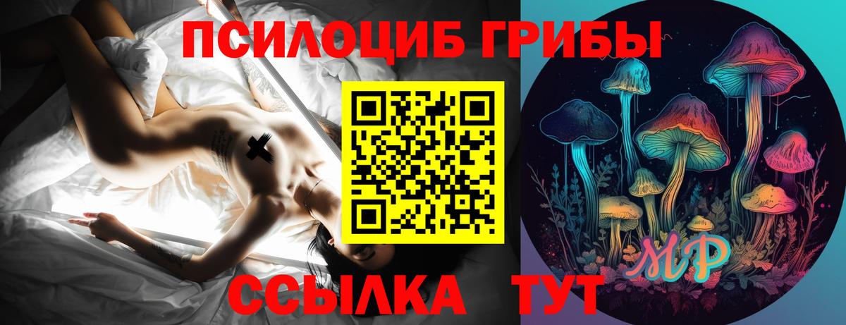 Псилоцибиновые грибы Psilocybe Вольск
